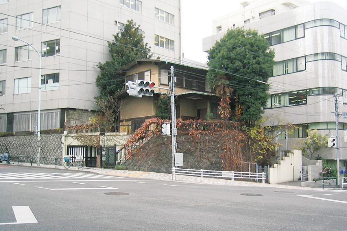 Before cortisjingumae