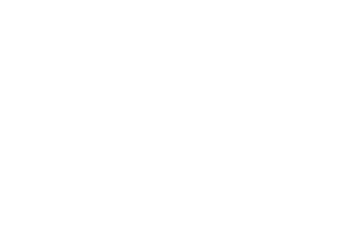 Service fig02