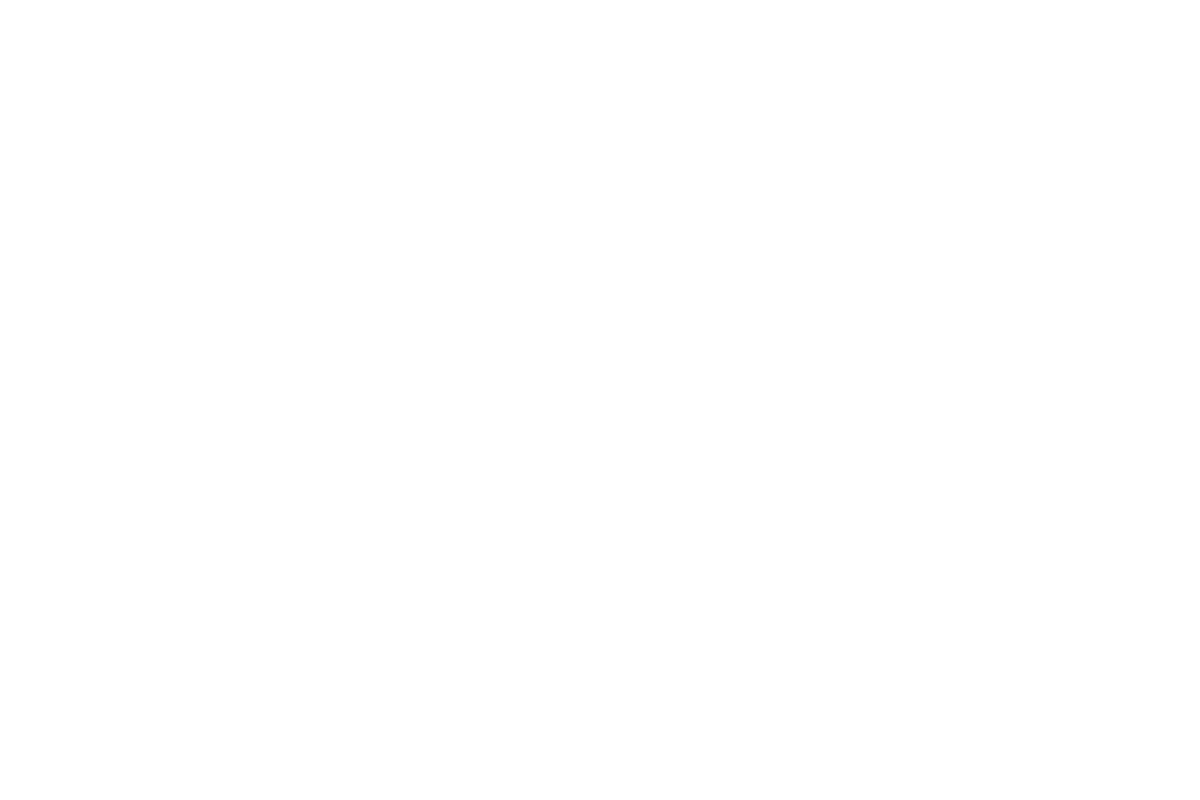 Service fig03