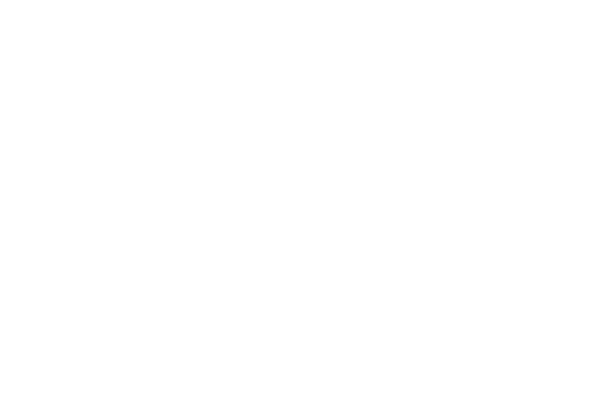 Service fig06